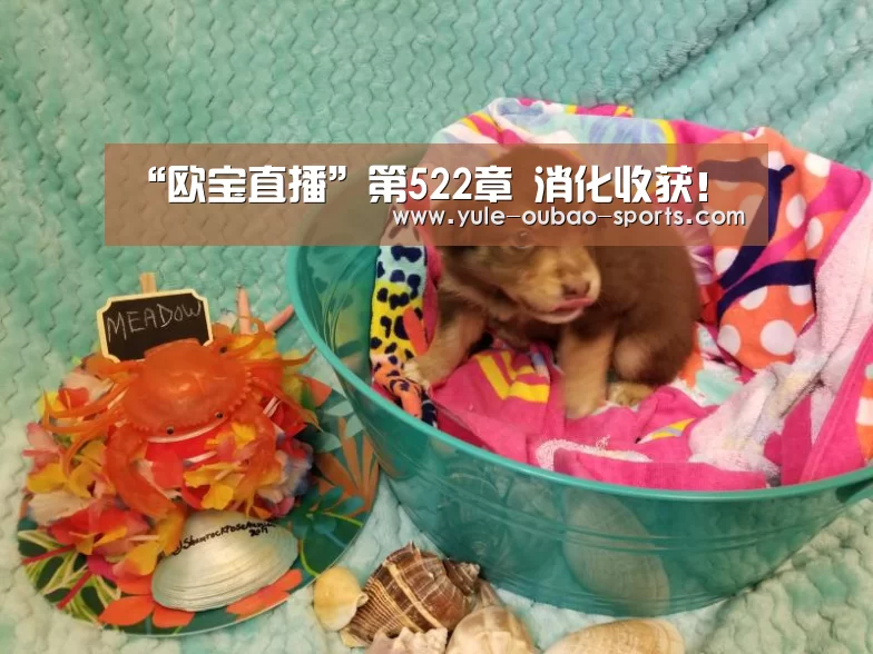 “欧宝直播”第522章 消化收获!(图3) 欧宝官方网站