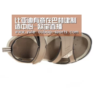 比亚迪有意在巴林建制造中心-欧宝直播(图1) OUBAO SPORTS