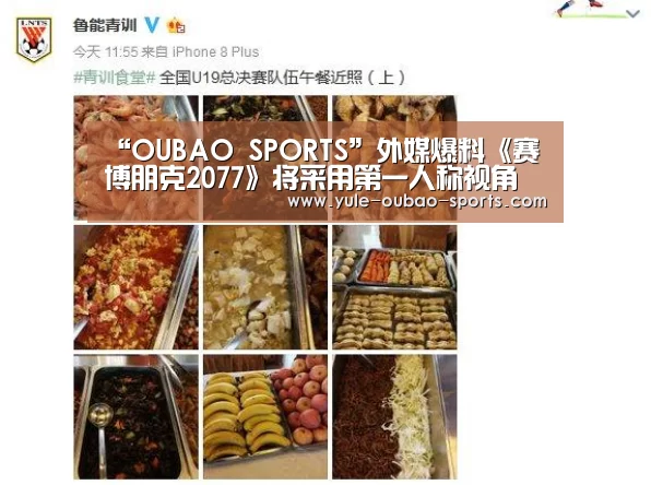 “OUBAO SPORTS”外媒爆料《赛博朋克2077》将采用第一人称视角(图4) OUBAO SPORTS