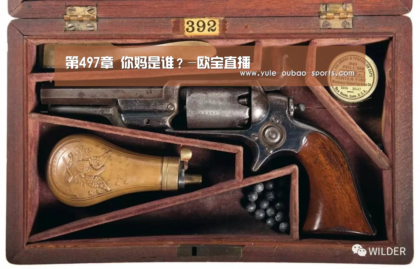 第497章 你妈是谁?-欧宝直播(图3) 欧宝娱乐