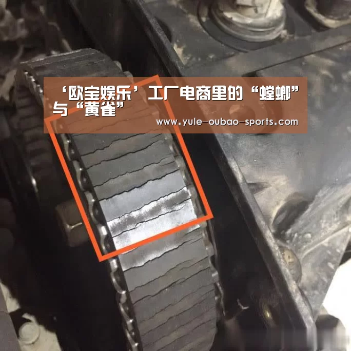 ‘欧宝娱乐’工厂电商里的“螳螂”与“黄雀”(图2) 欧宝官方网站